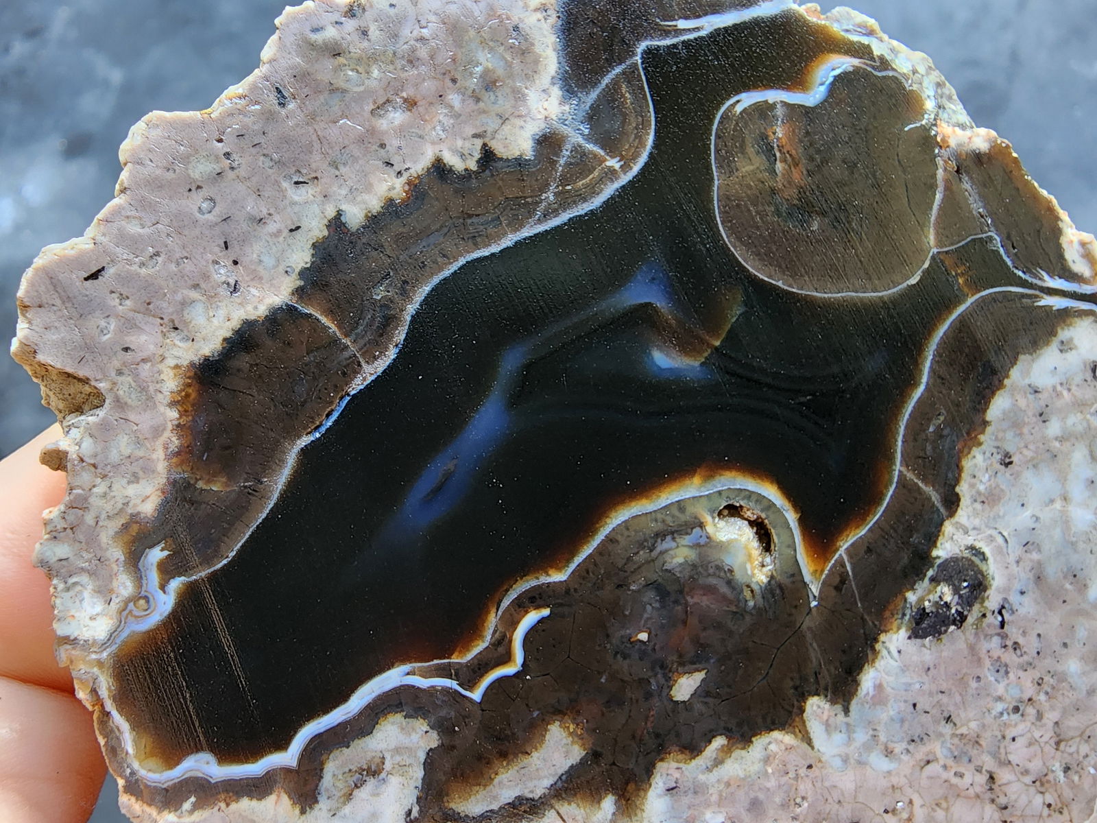 Dog Face Agate Pair - We❤️Rocks