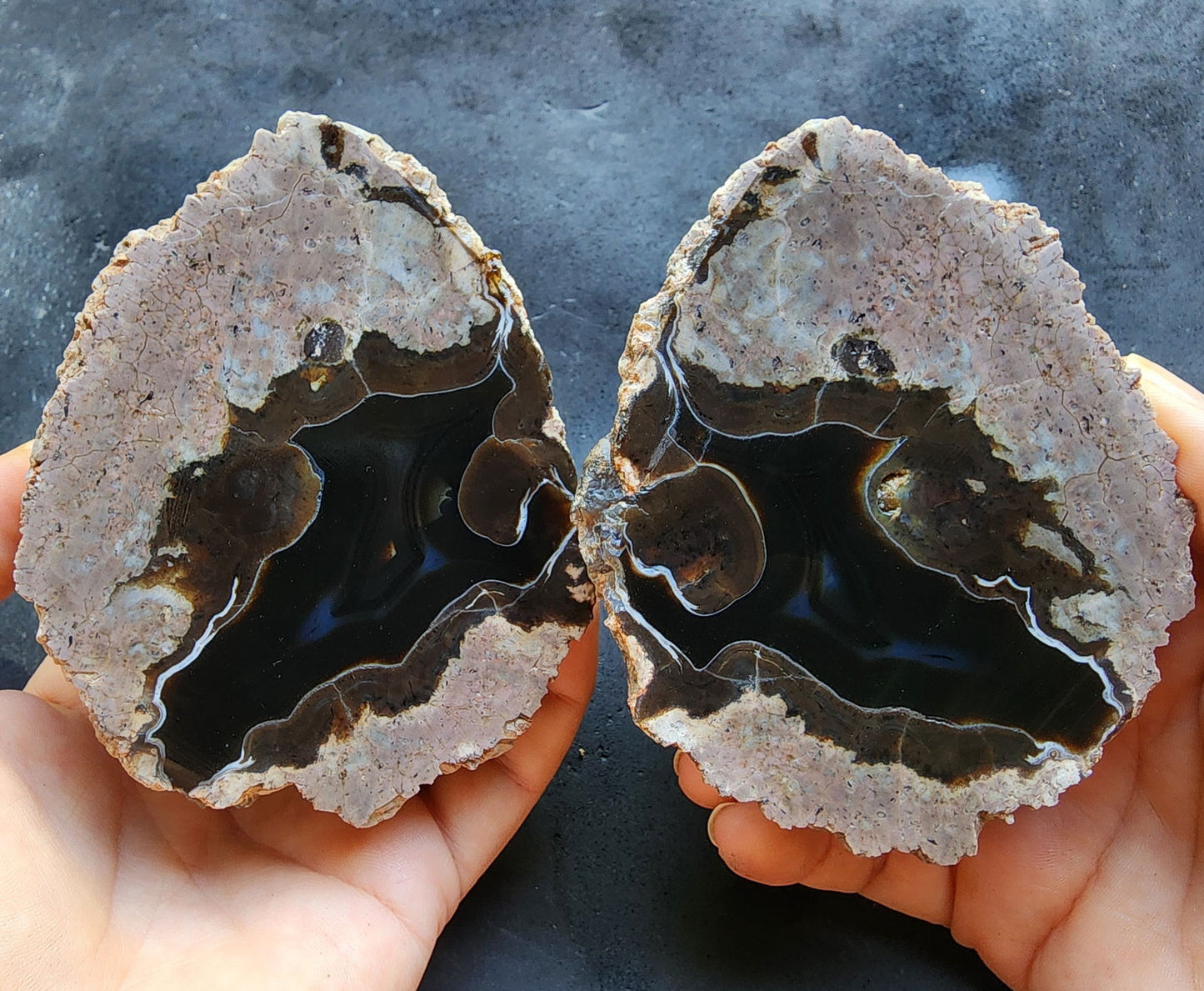 Dog Face Agate Pair - We❤️Rocks