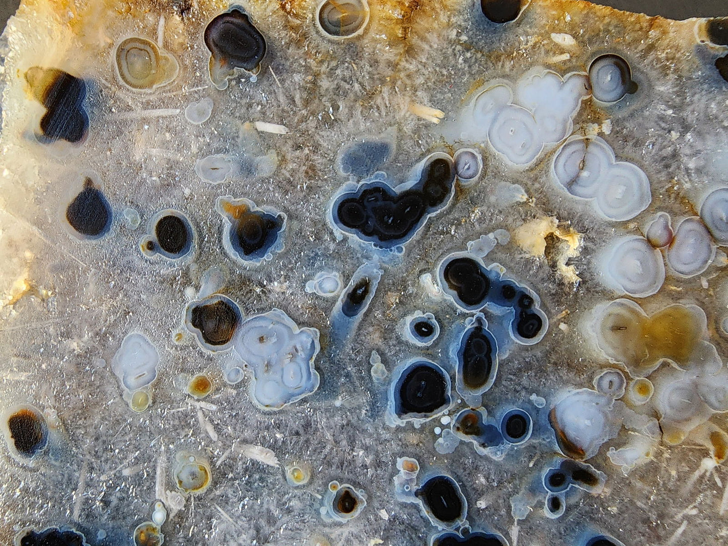 Eye Agate Slab - We❤️Rocks