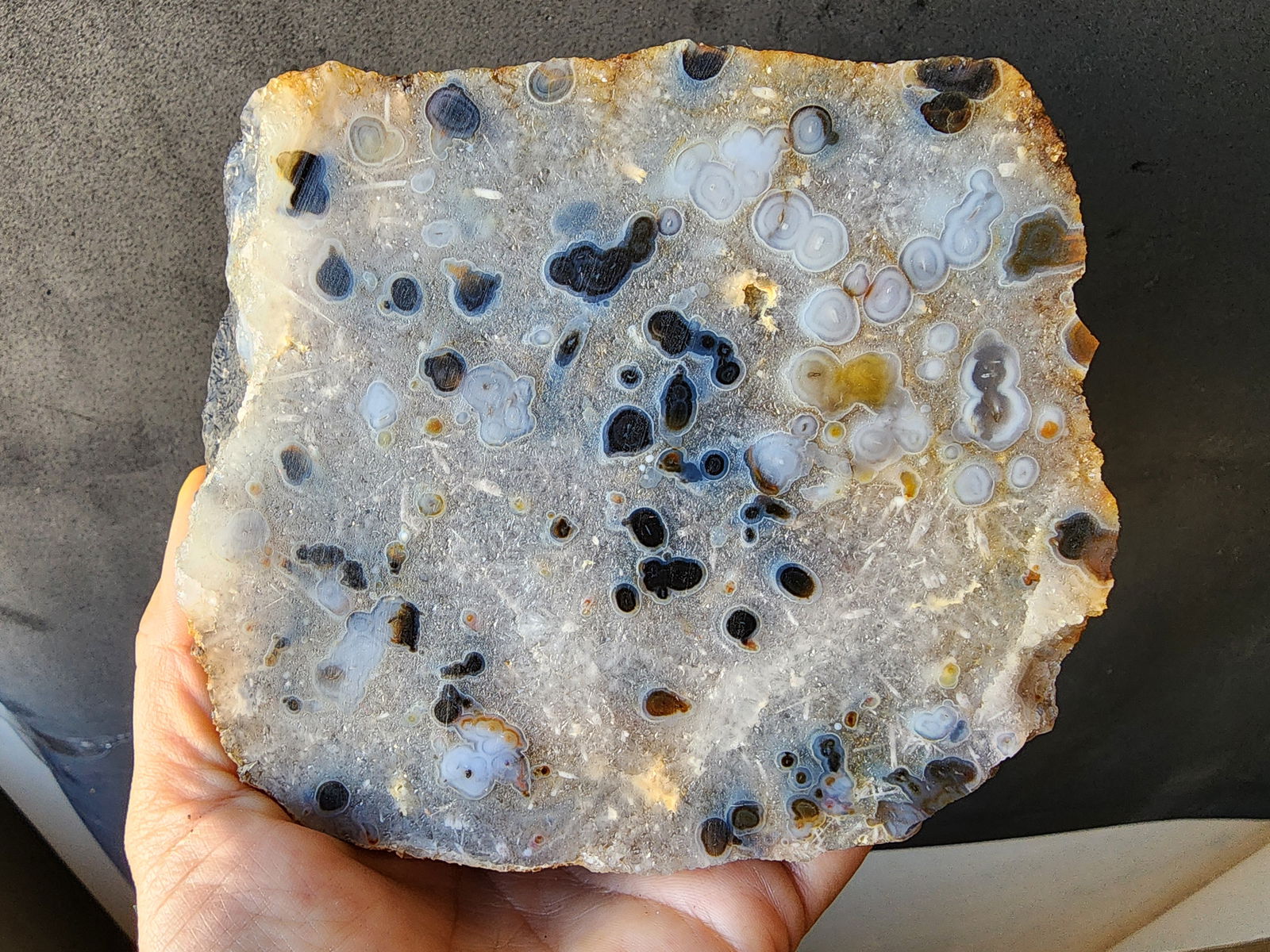 Eye Agate Slab - We❤️Rocks