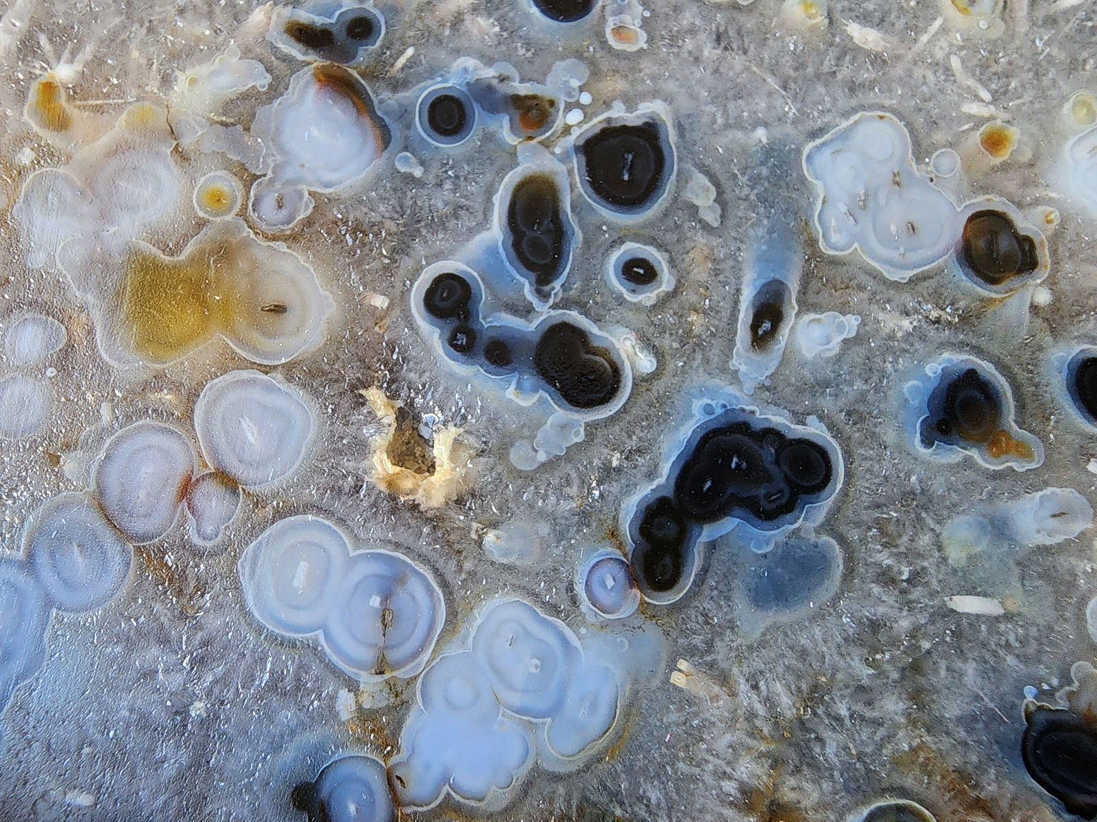 Eye Agate Slab - We❤️Rocks