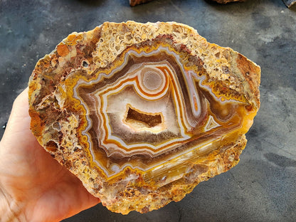 Floater Agate - We❤️Rocks