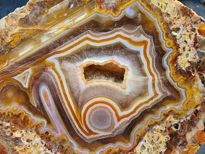 Floater Agate - We❤️Rocks