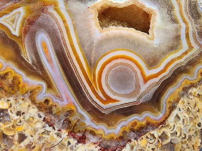 Floater Agate - We❤️Rocks