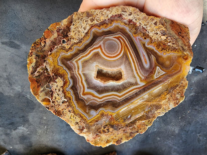 Floater Agate - We❤️Rocks