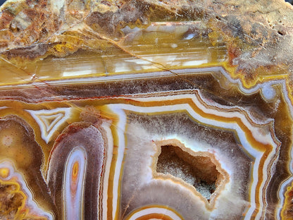 Floater Agate - We❤️Rocks