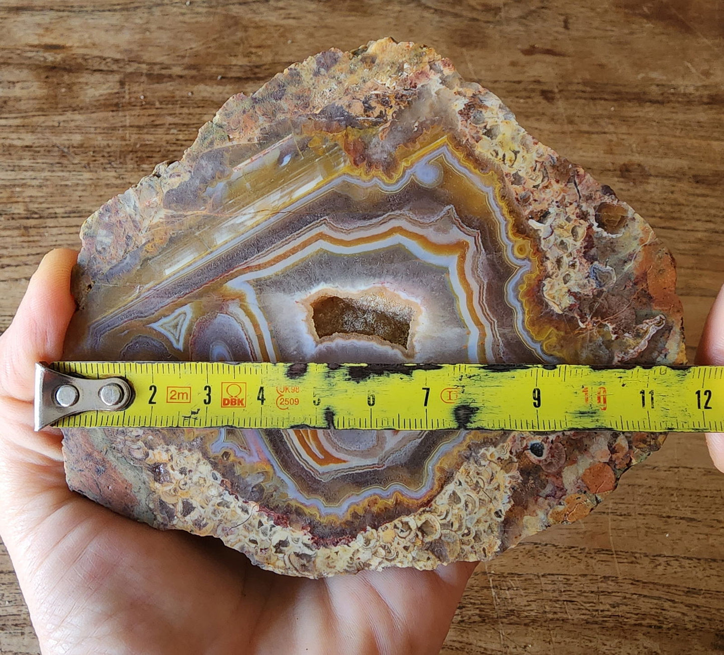 Floater Agate - We❤️Rocks