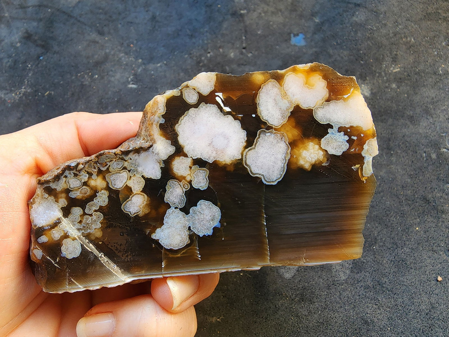 Flower Agate Pair - We❤️Rocks