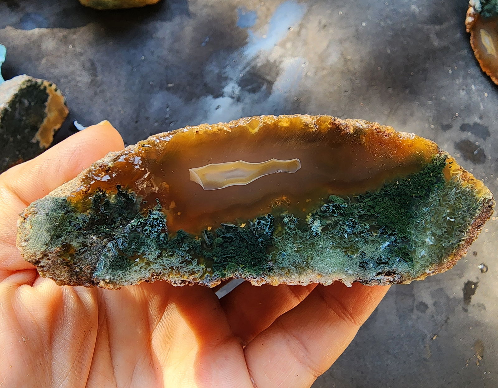 Green Agate Slices - We❤️Rocks