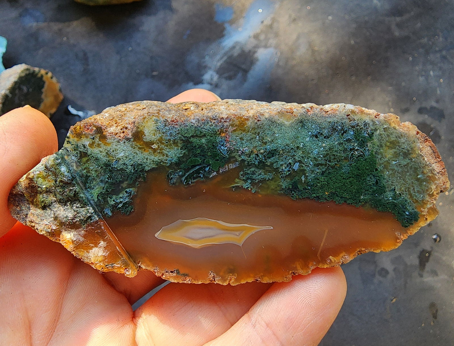 Green Agate Slices - We❤️Rocks