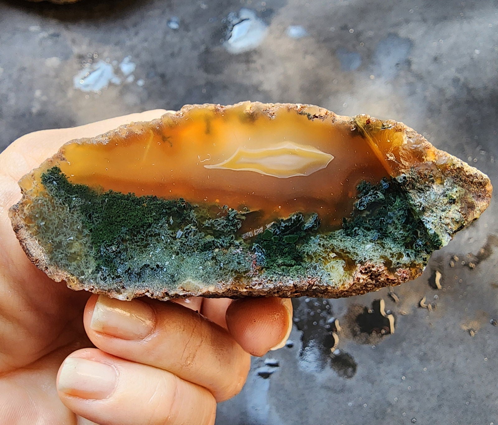 Green Agate Slices - We❤️Rocks