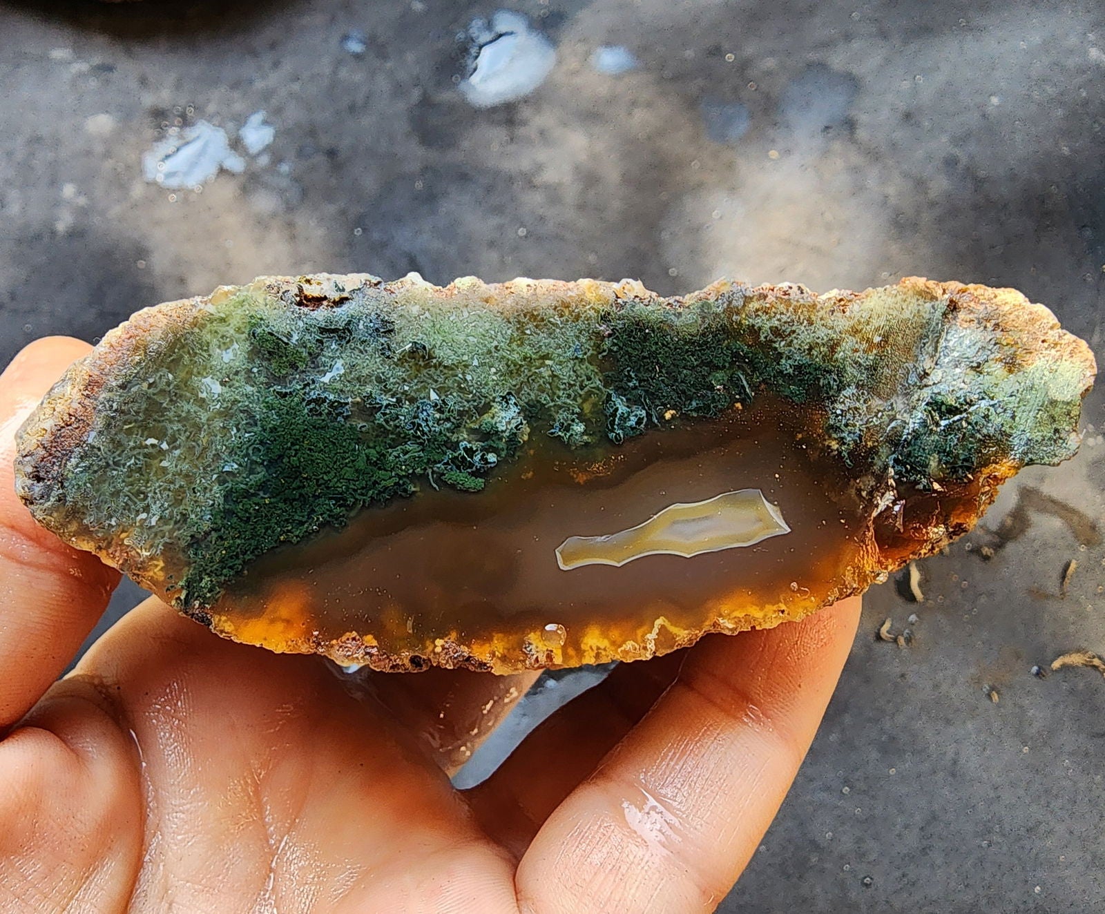 Green Agate Slices - We❤️Rocks