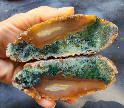 Green Agate Slices - We❤️Rocks