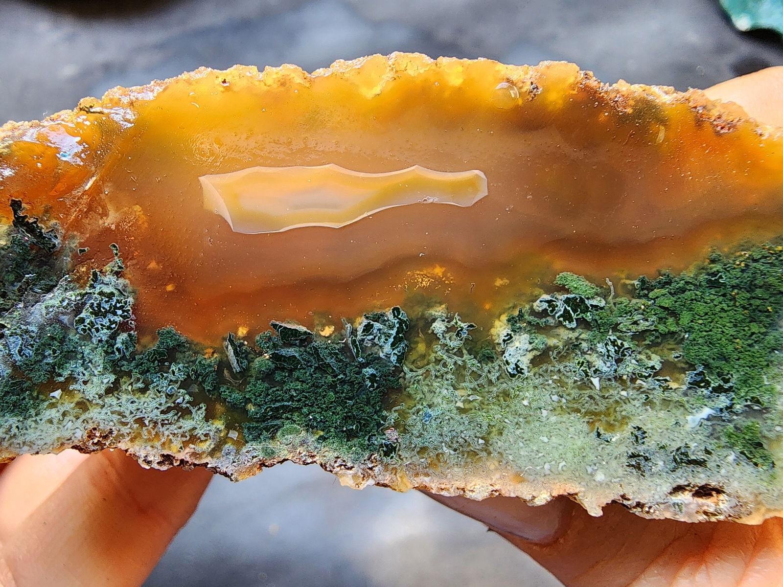 Green Agate Slices - We❤️Rocks