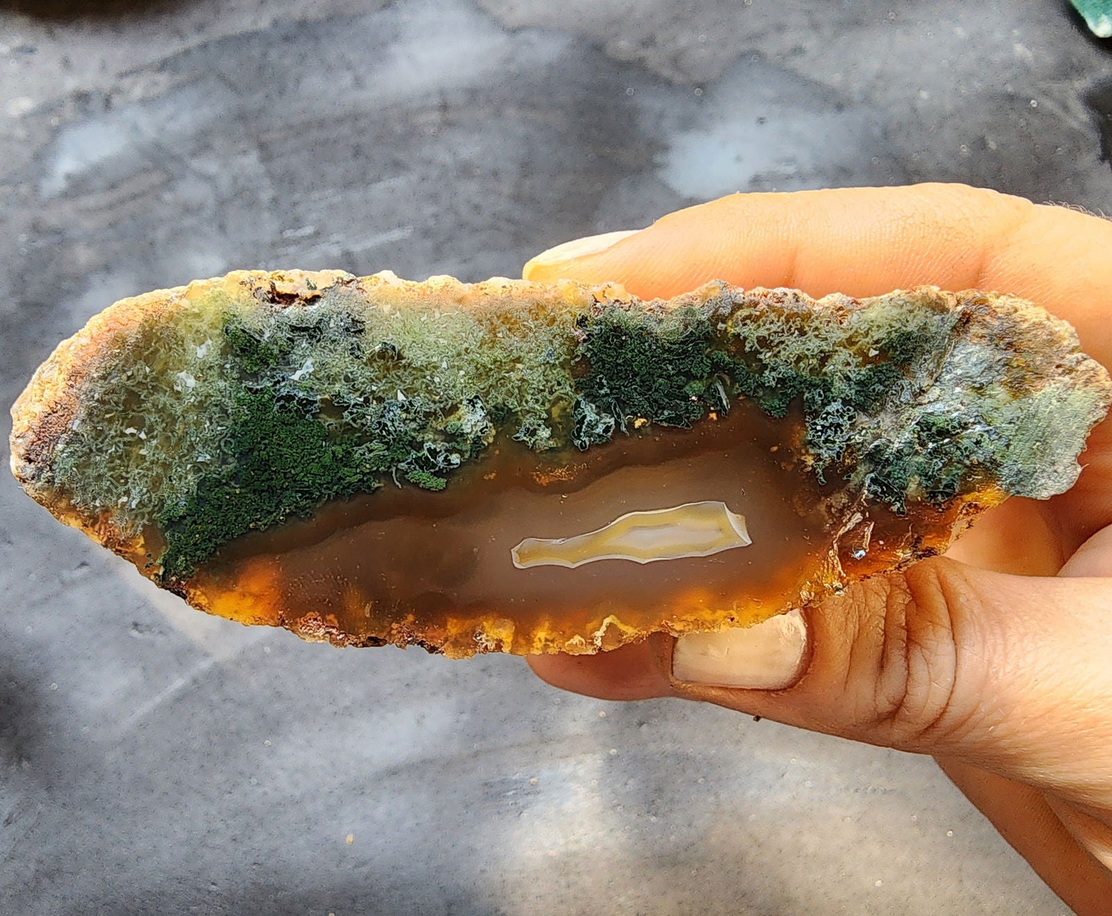 Green Agate Slices - We❤️Rocks