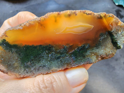 Green Agate Slices - We❤️Rocks