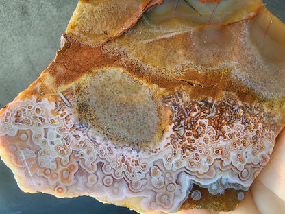 Lace Agate Pair - We❤️Rocks