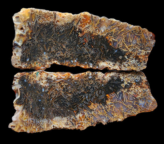 Large Pseudomorph Agate