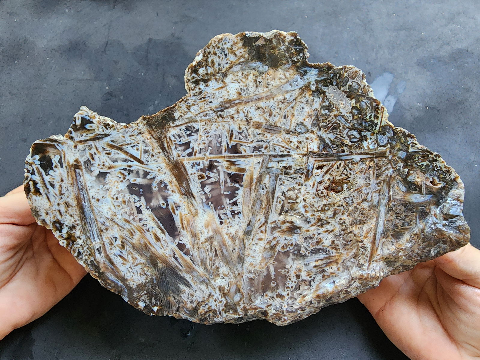 Large Agate Piece - We❤️Rocks