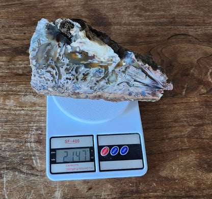 Large Decorative Rock - #tag1# - #tag2# - #tag3# - #tag4#