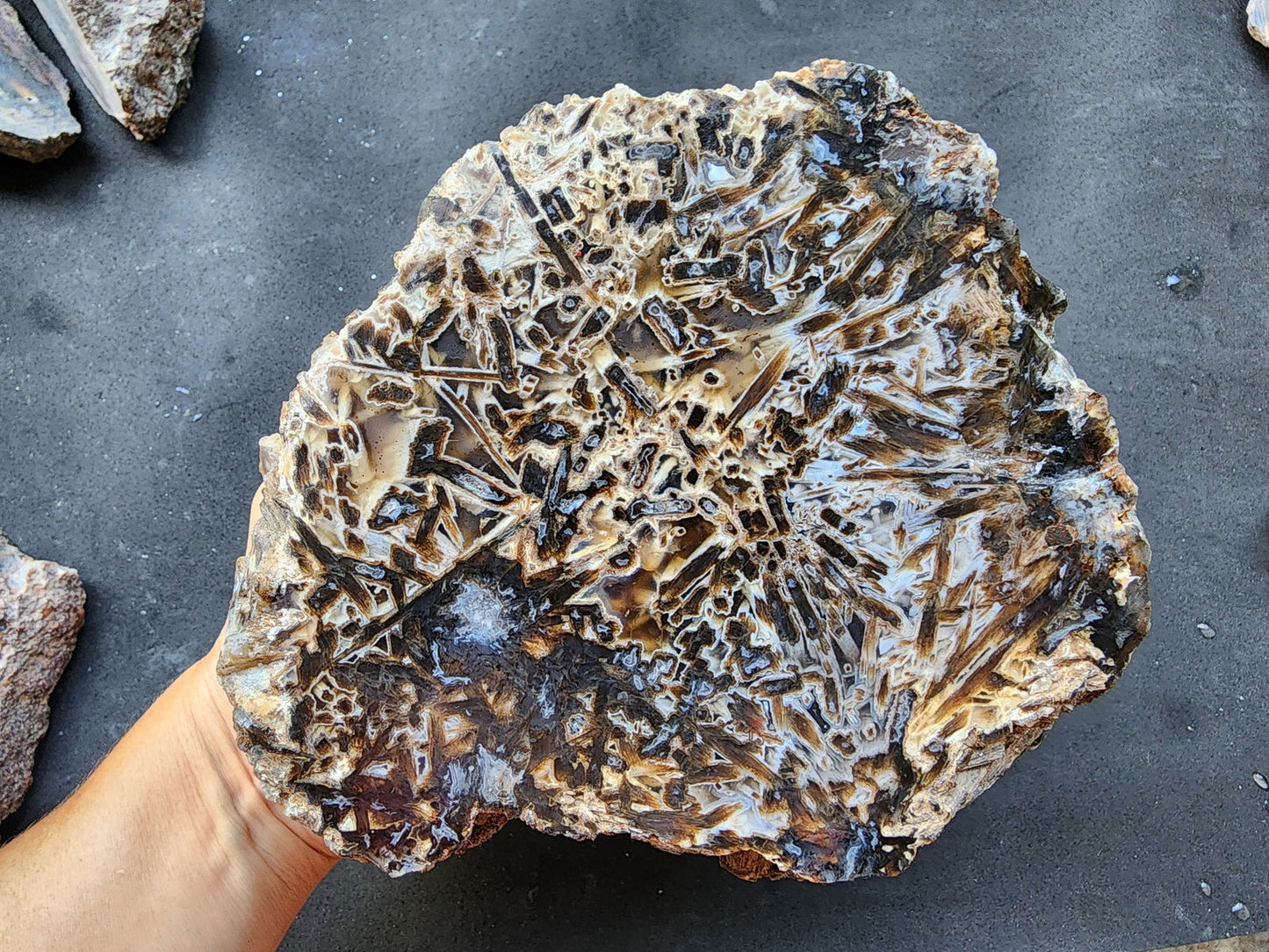 Large Stick Agate Rough - We❤️Rocks