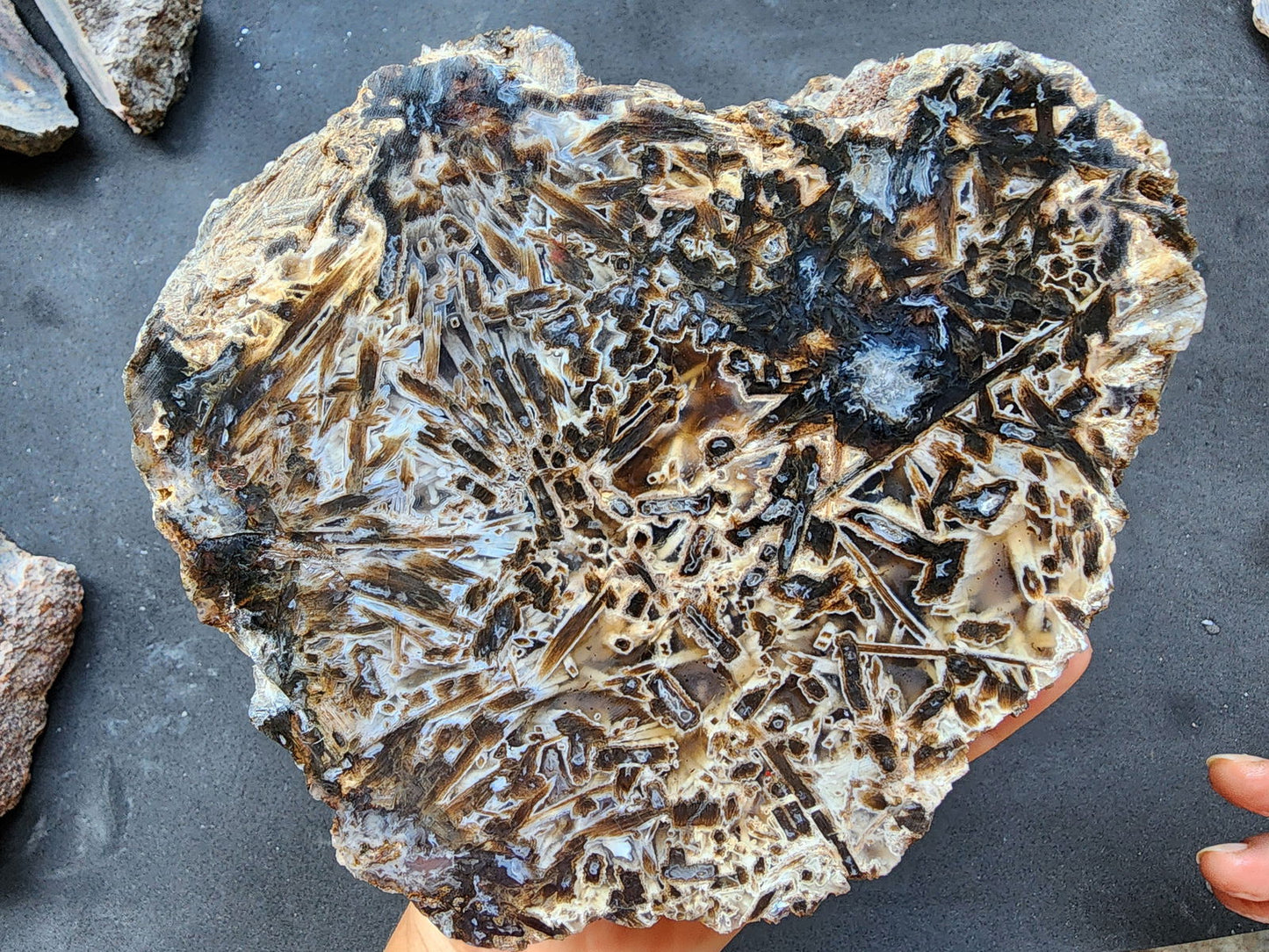 Large Stick Agate Rough - We❤️Rocks