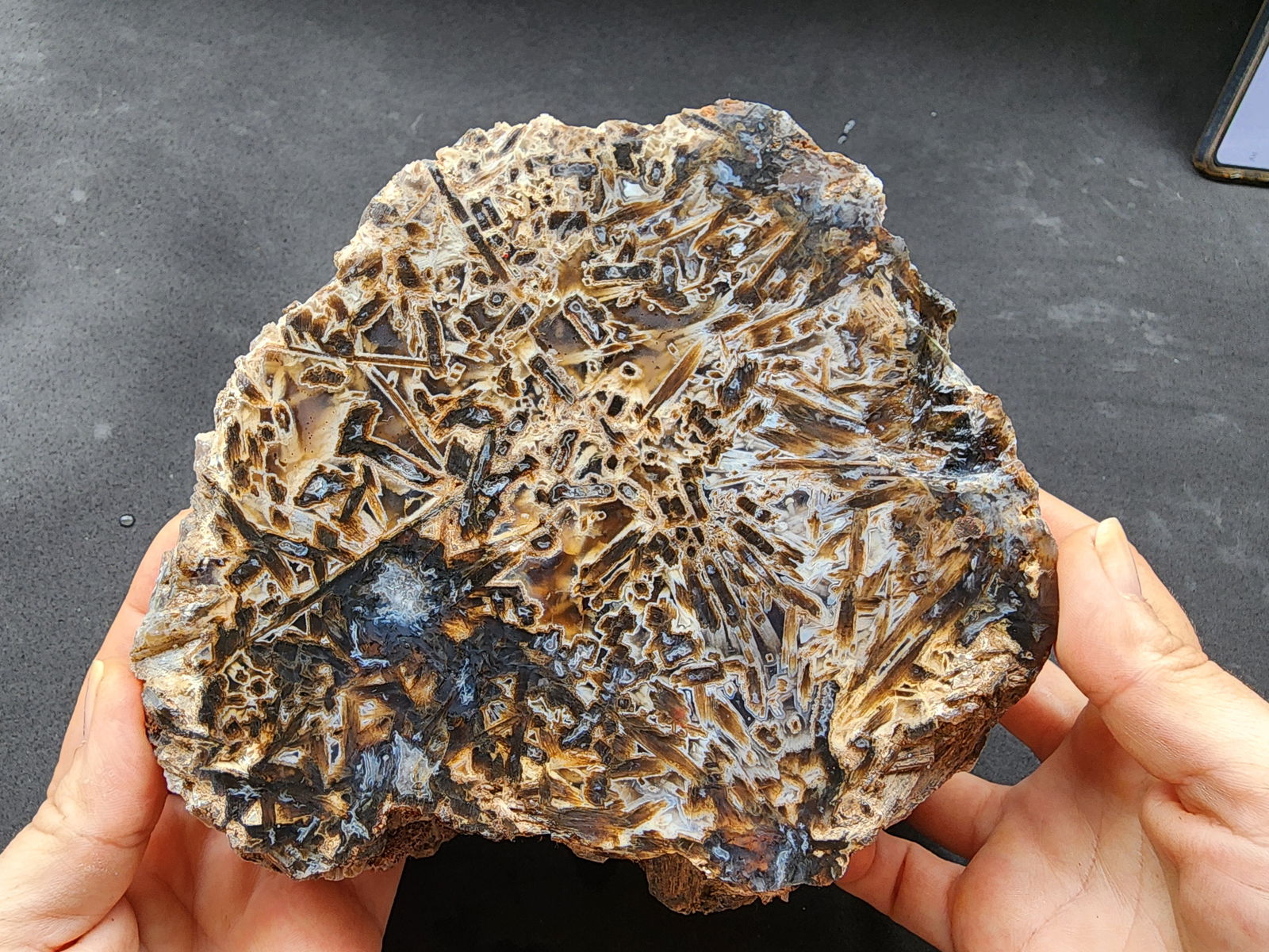 Large Stick Agate Rough - We❤️Rocks