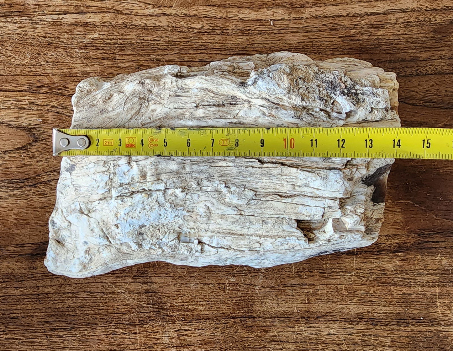 Petrified Wood Log - #tag1# - #tag2# - #tag3# - #tag4#