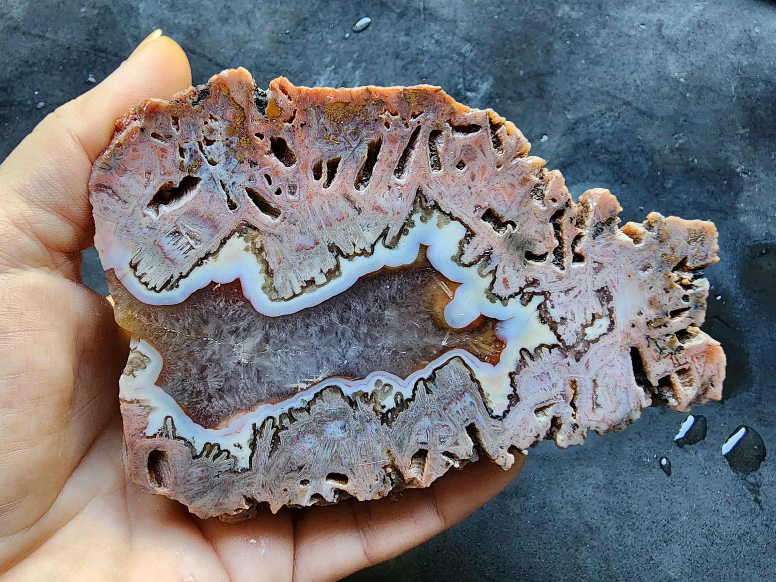 Pink Tube Agate - We❤️Rocks