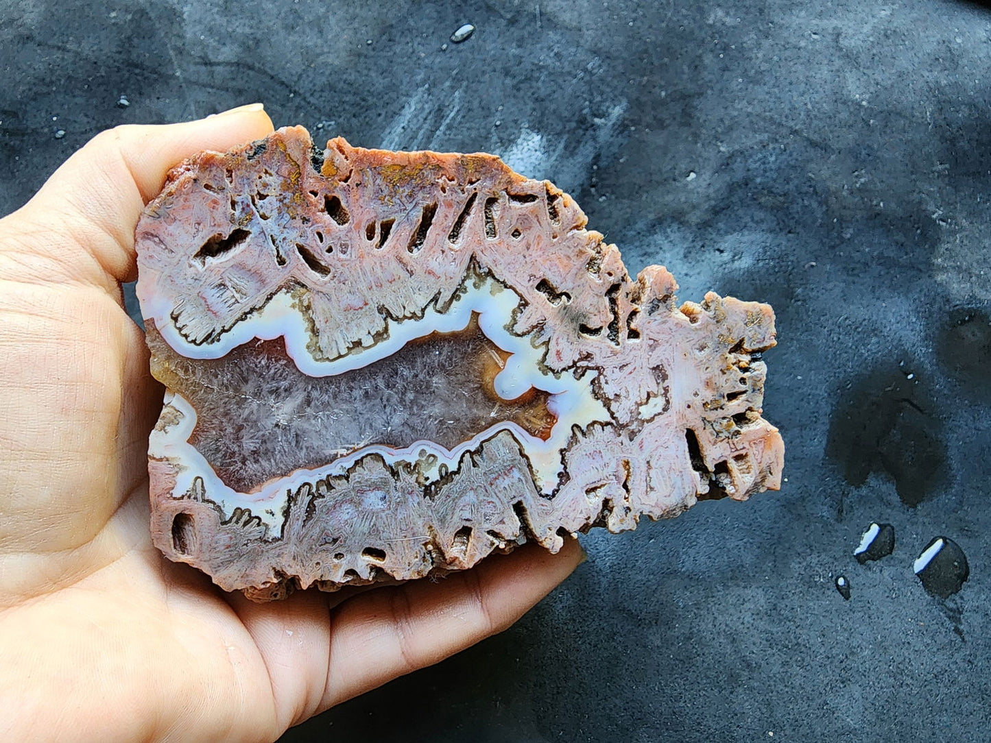 Pink Tube Agate - We❤️Rocks