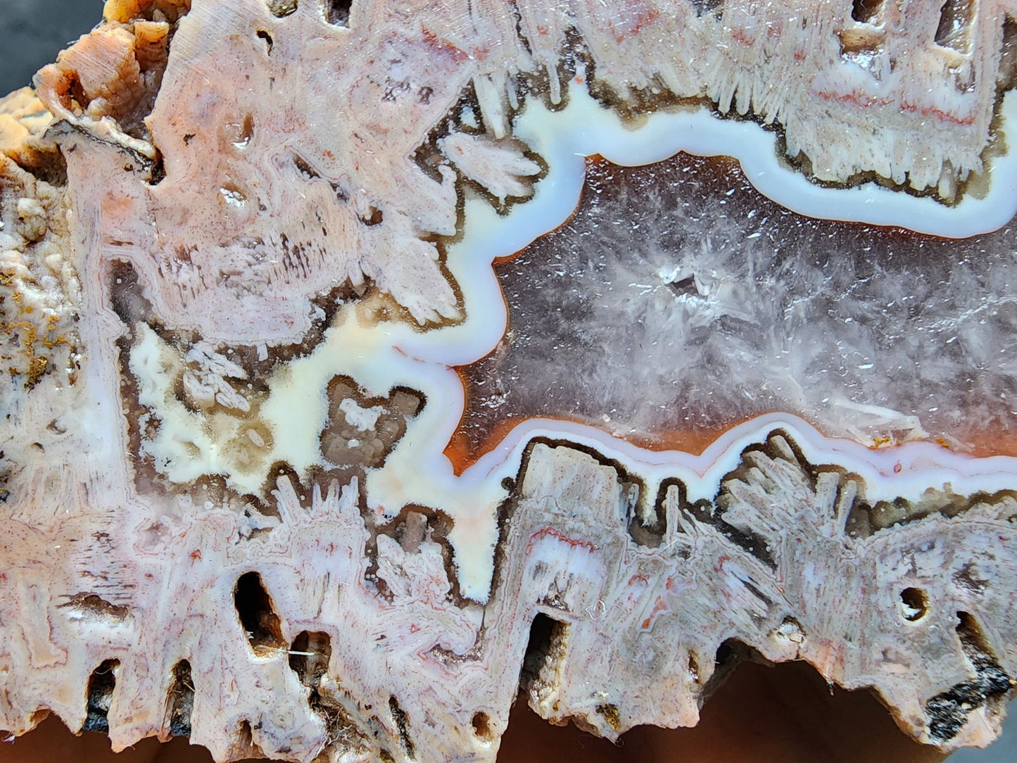 Pink Tube Agate - We❤️Rocks