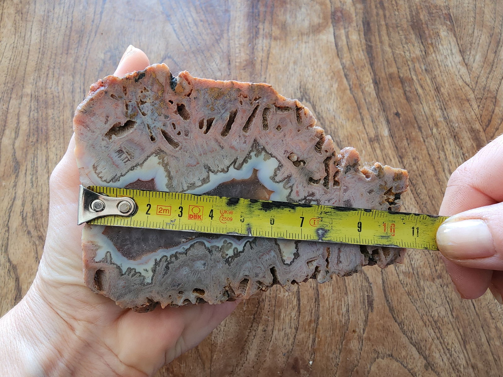 Pink Tube Agate - We❤️Rocks