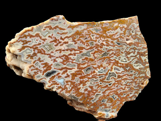 Plume Agate Decor - #tag1# - #tag2#