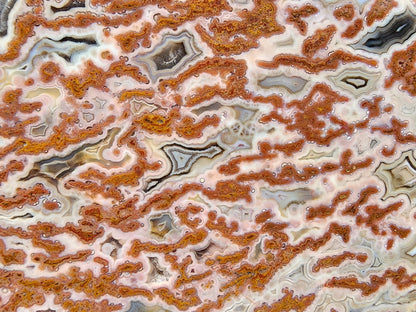 Plume Agate Decor - #tag1# - #tag2#