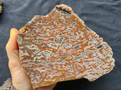 Plume Agate Decor - #tag1# - #tag2#