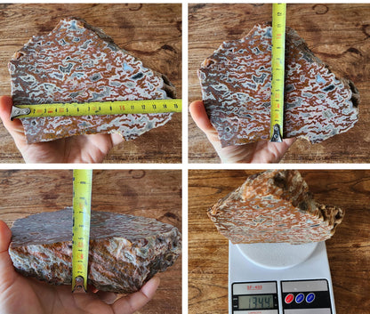 Plume Agate Decor - #tag1# - #tag2#
