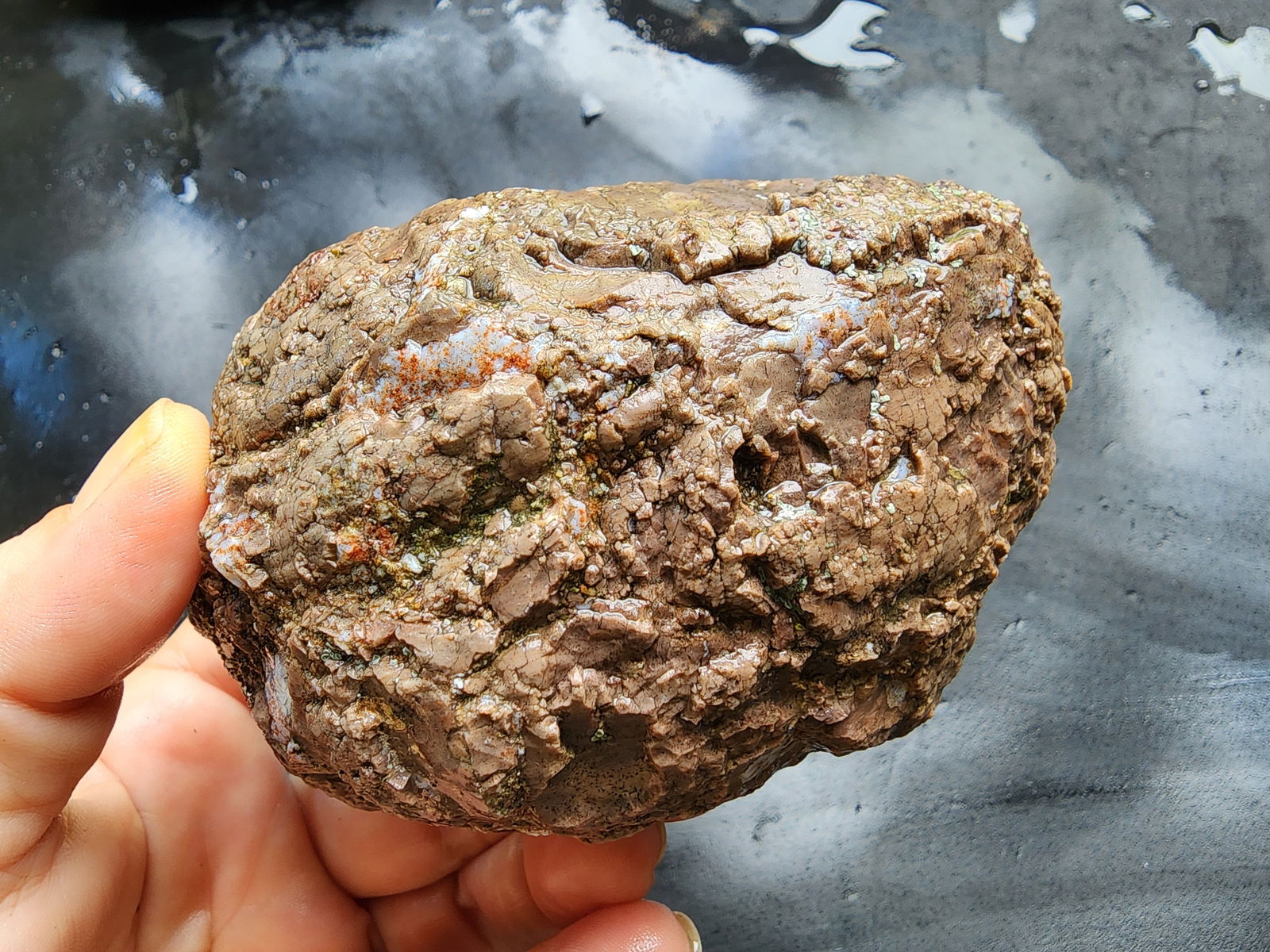 Raw Agate Nodules & Thundereggs - We❤️Rocks