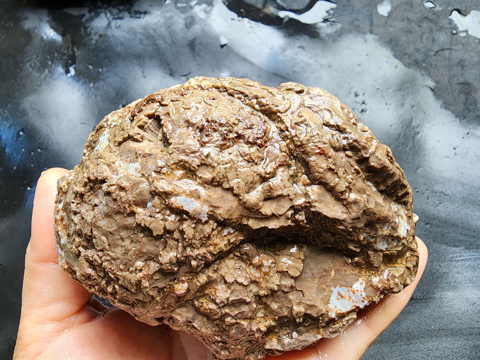 Raw Agate Nodules & Thundereggs - We❤️Rocks