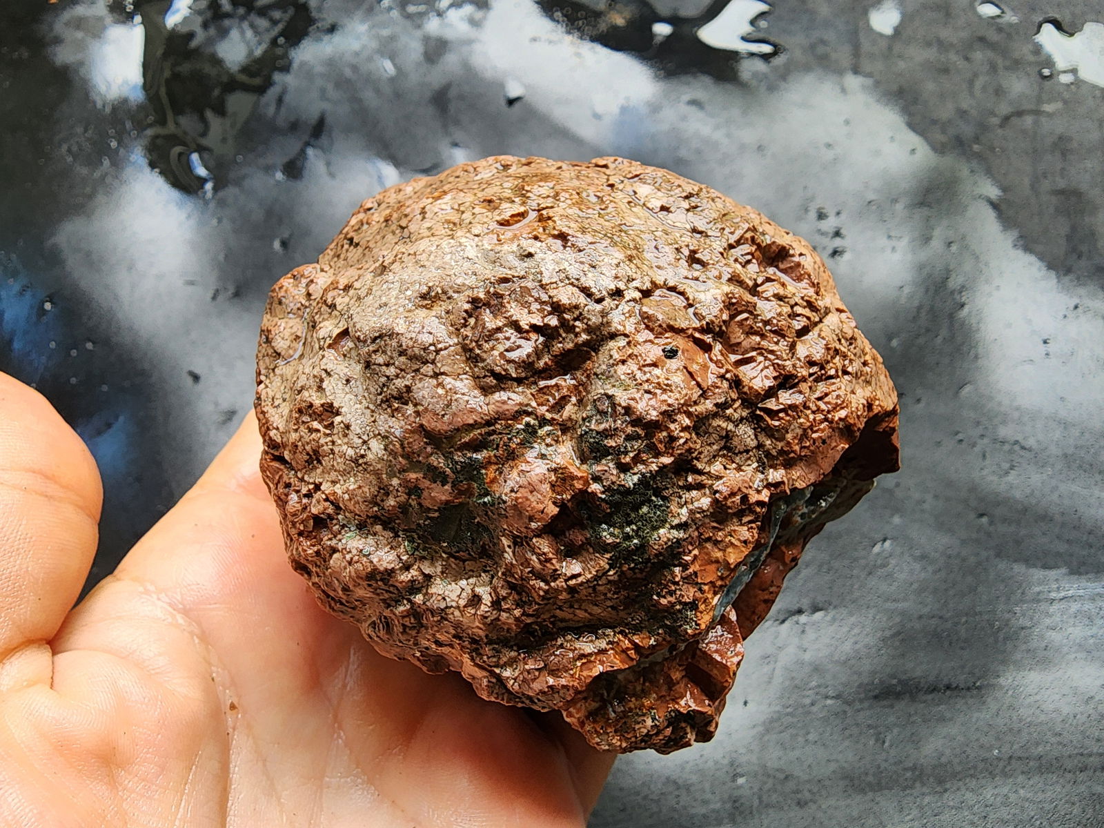 Raw Agate Nodules & Thundereggs - We❤️Rocks