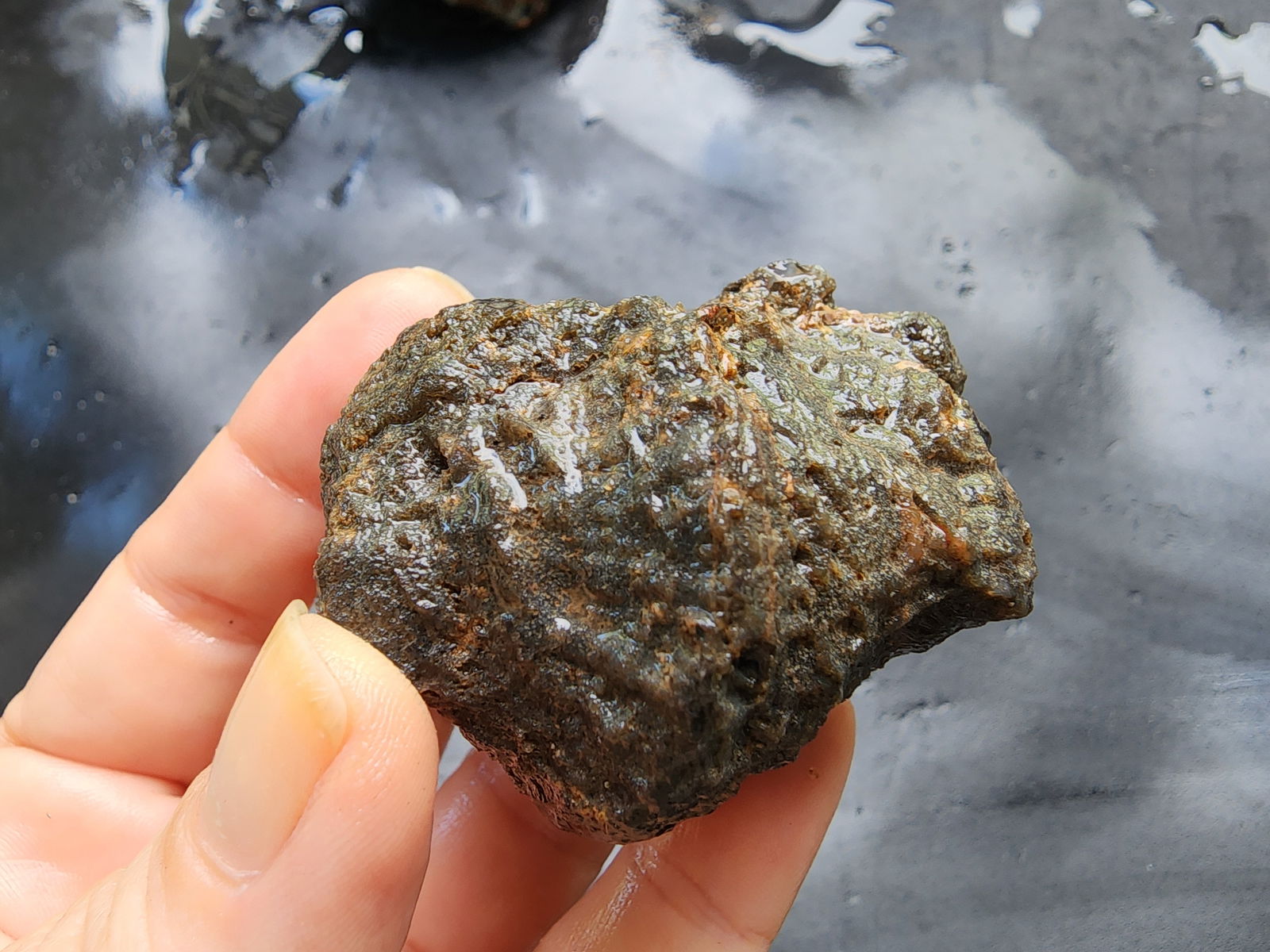 Raw Agate Nodules & Thundereggs - We❤️Rocks