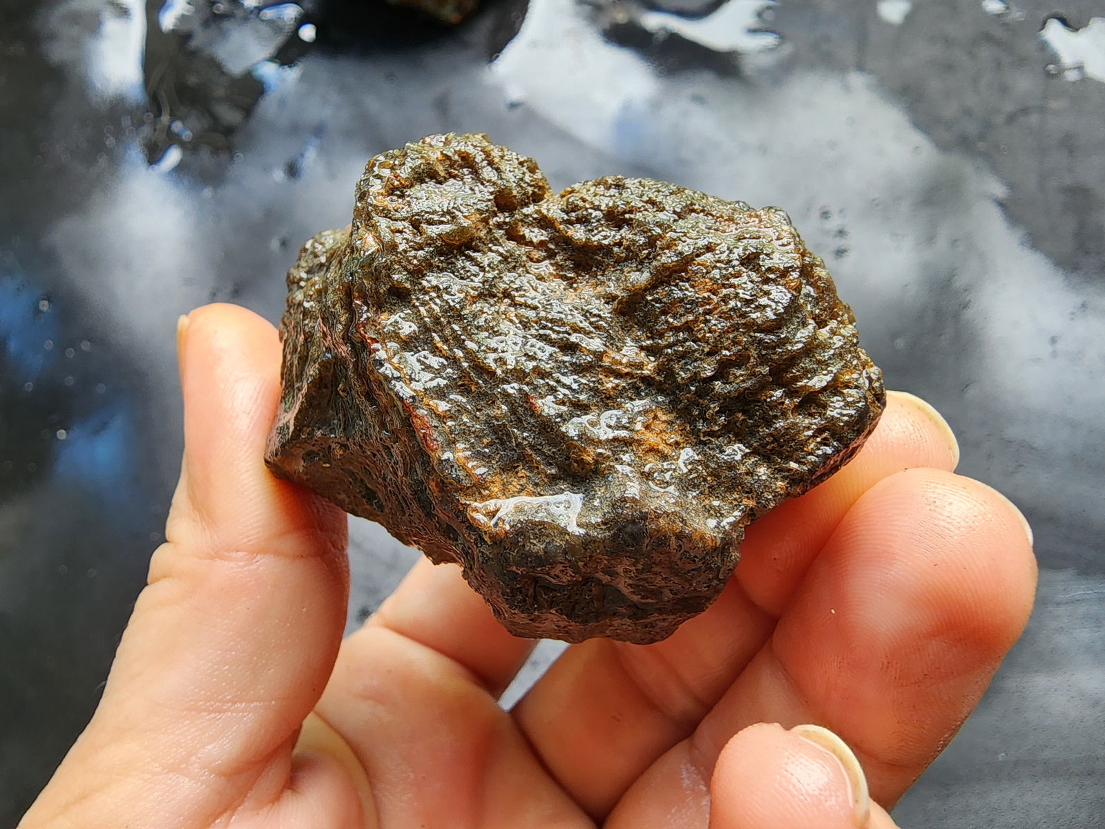 Raw Agate Nodules & Thundereggs - We❤️Rocks