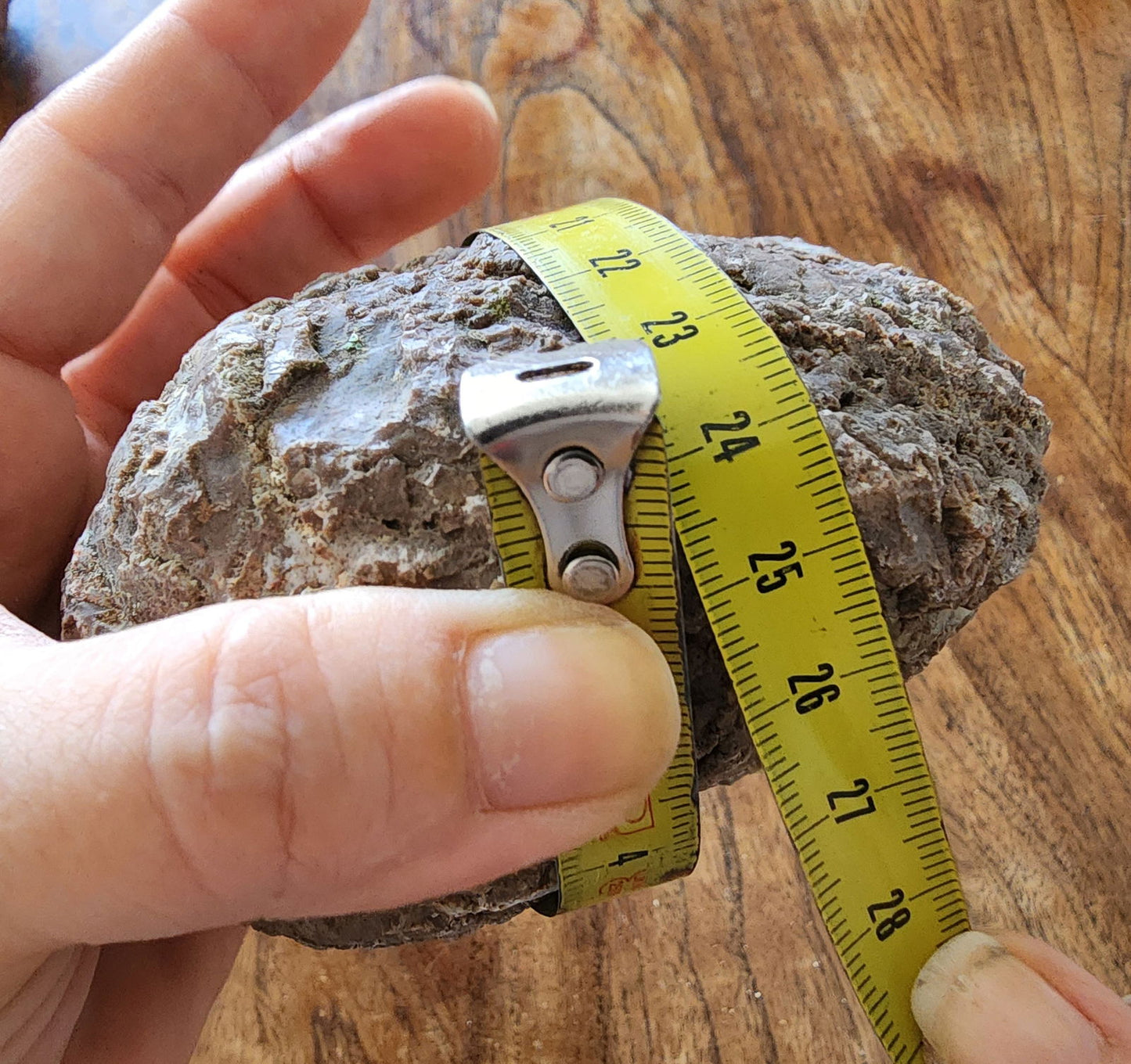 Raw Agate Nodules & Thundereggs - We❤️Rocks