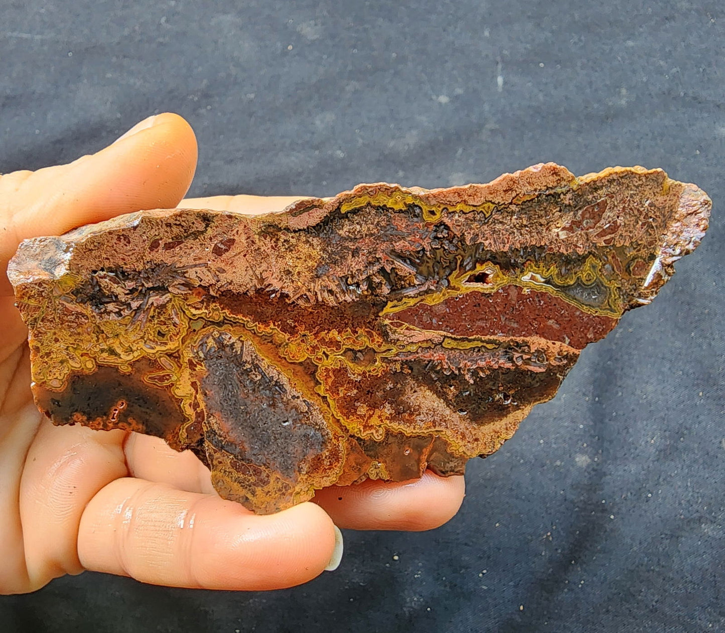 Rhyolite Collectible Agate - #tag1# - #tag2# - #tag3# - #tag4#