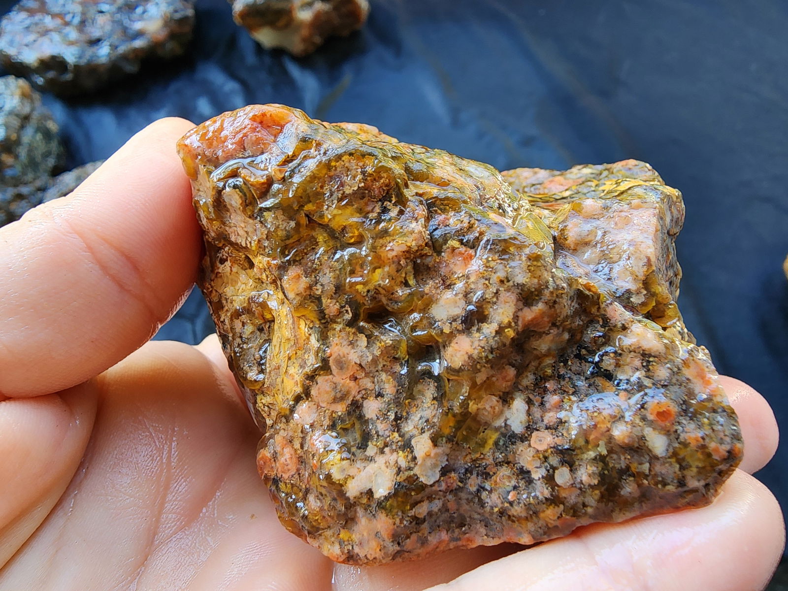 Rough Agate Nodules - We❤️Rocks