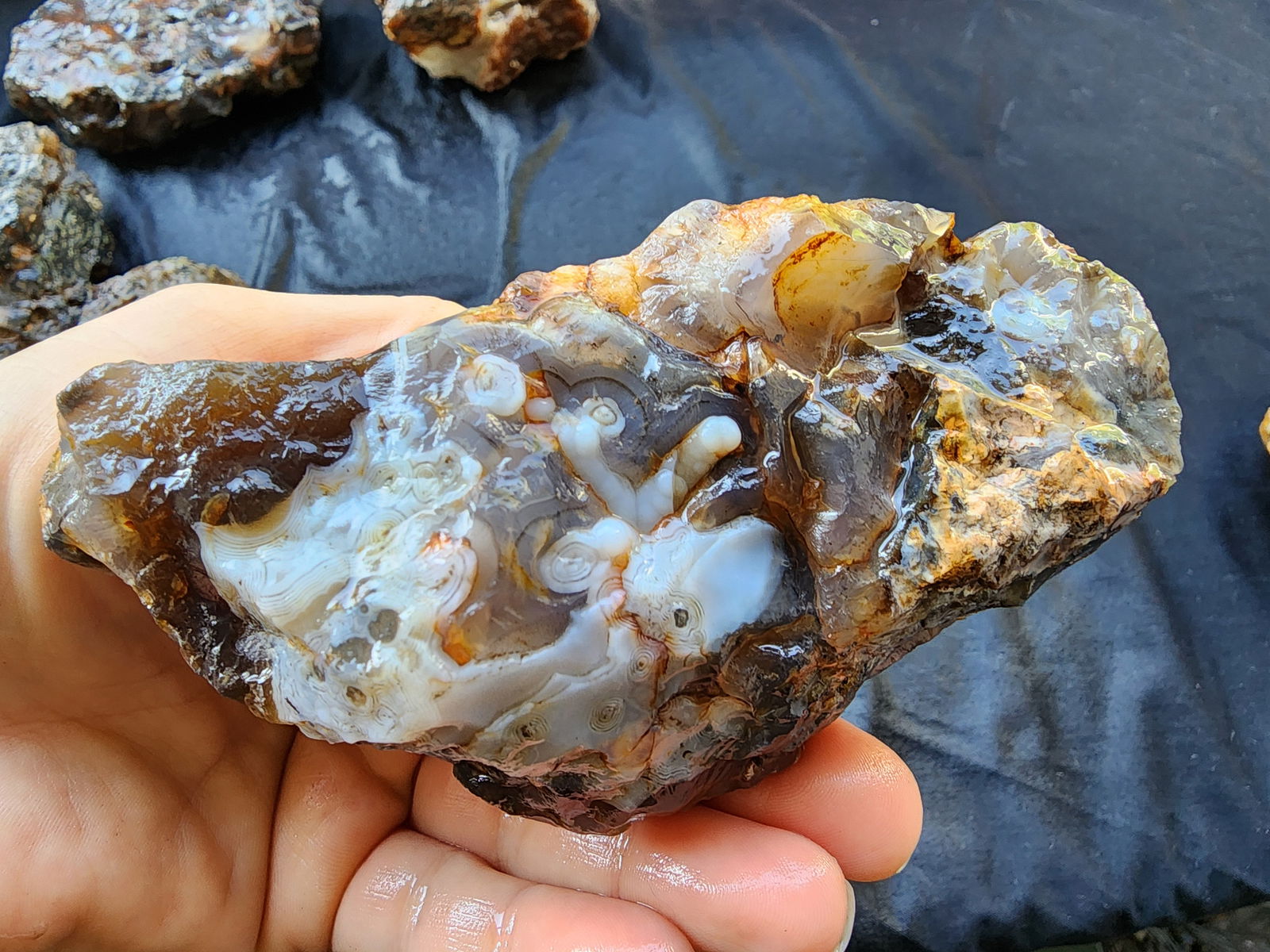 Rough Agate Nodules - We❤️Rocks