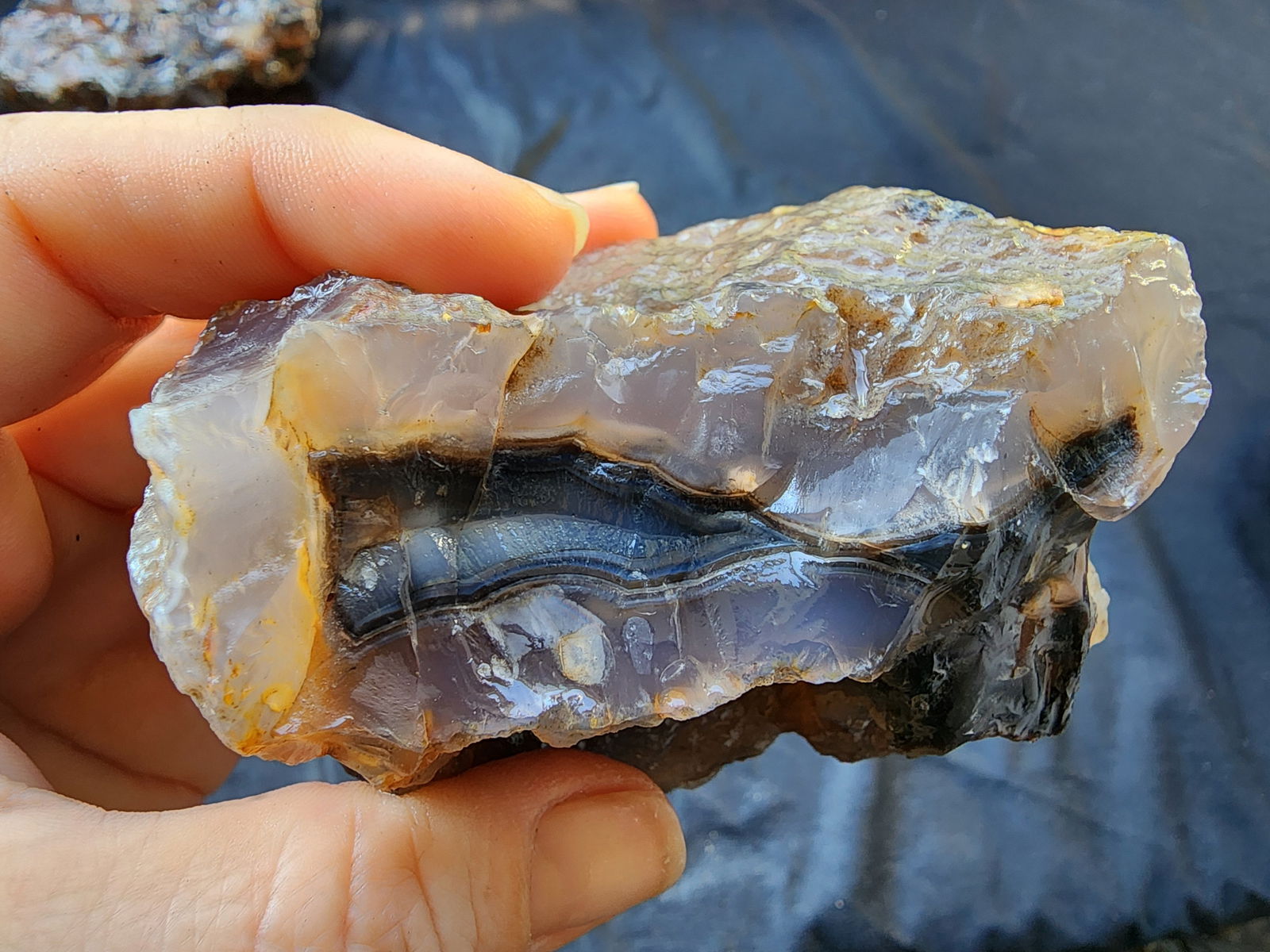 Rough Agate Nodules - We❤️Rocks