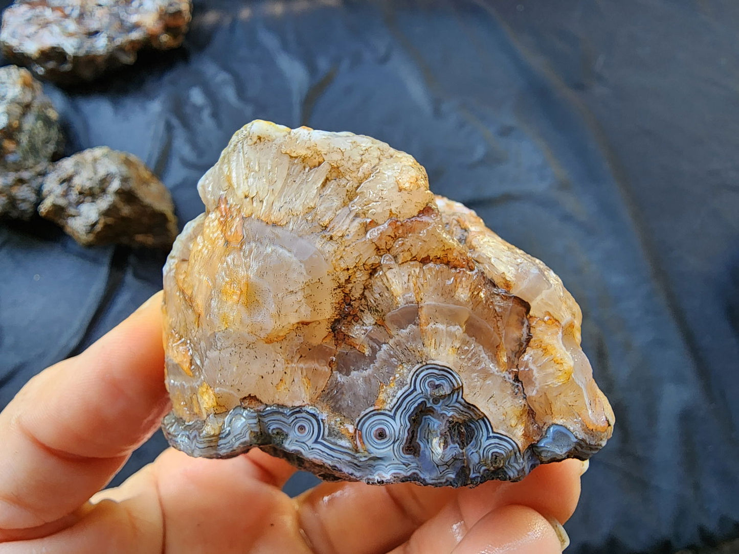 Rough Agate Nodules - We❤️Rocks