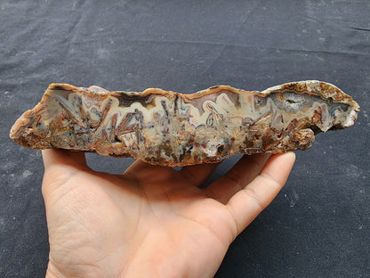 Stick Agate Rough - #tag1# - #tag2#