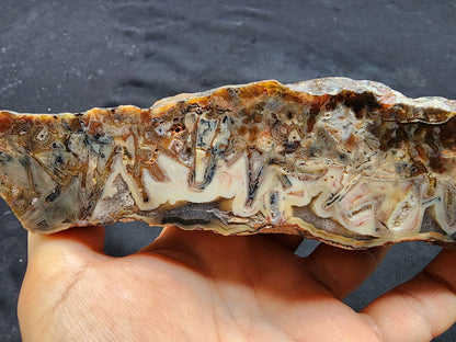 Stick Agate Rough - #tag1# - #tag2#