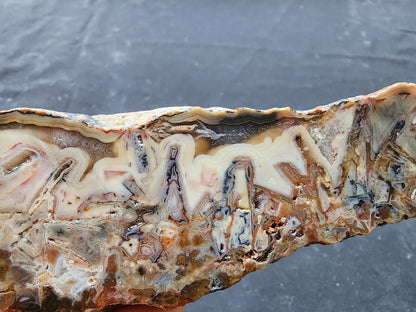 Stick Agate Rough - #tag1# - #tag2#